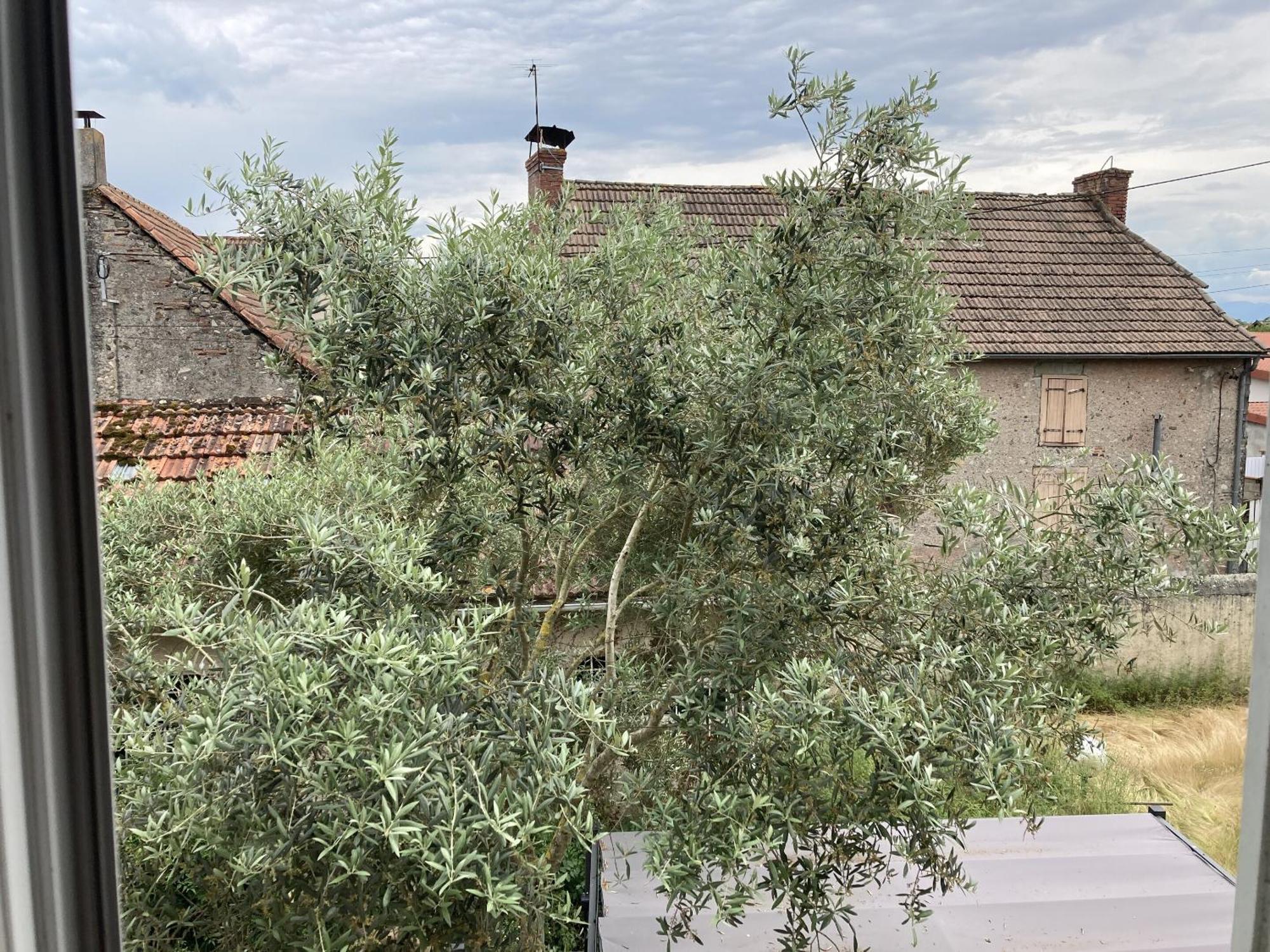 Location Appartement Des Pyrenees Borderes-sur-l'Echez Room photo